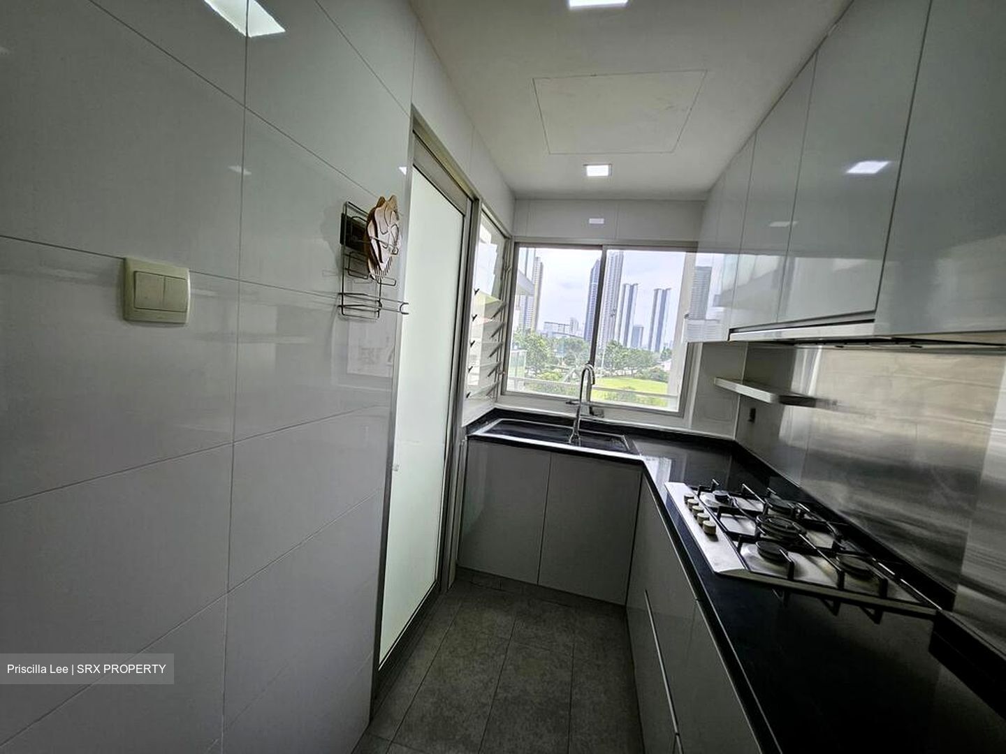 The Parc Condominium (D5), Condominium #504053111